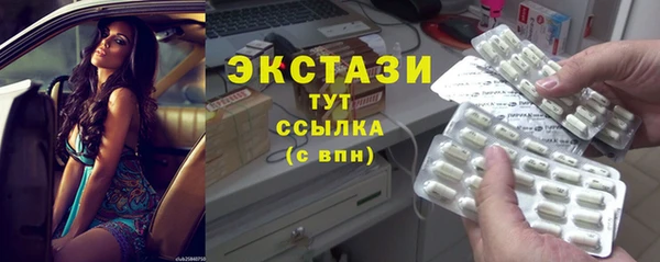 ECSTASY Богородицк